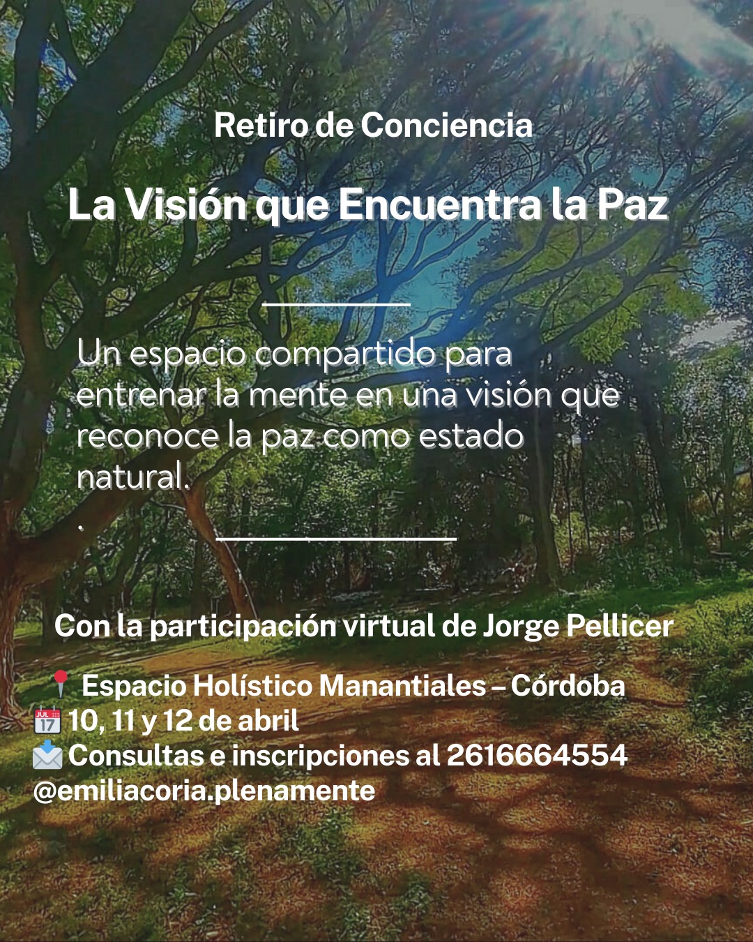 ✨ Retiro de Conciencia: La visión que encuentra la paz ✨