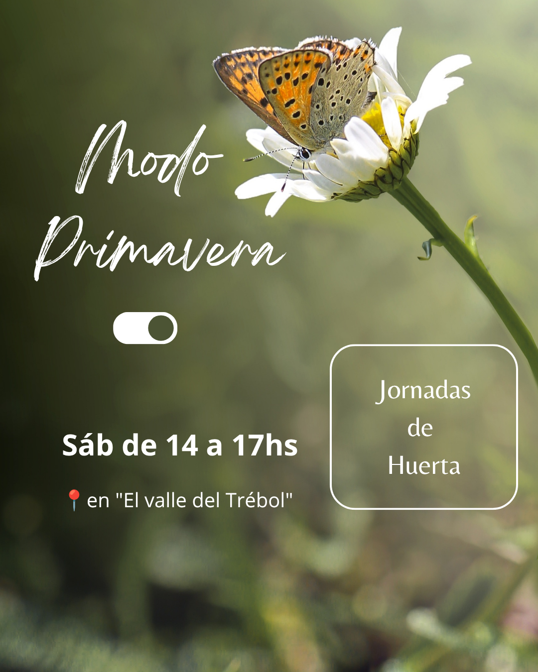 Jornadas de Huerta Comunitaria