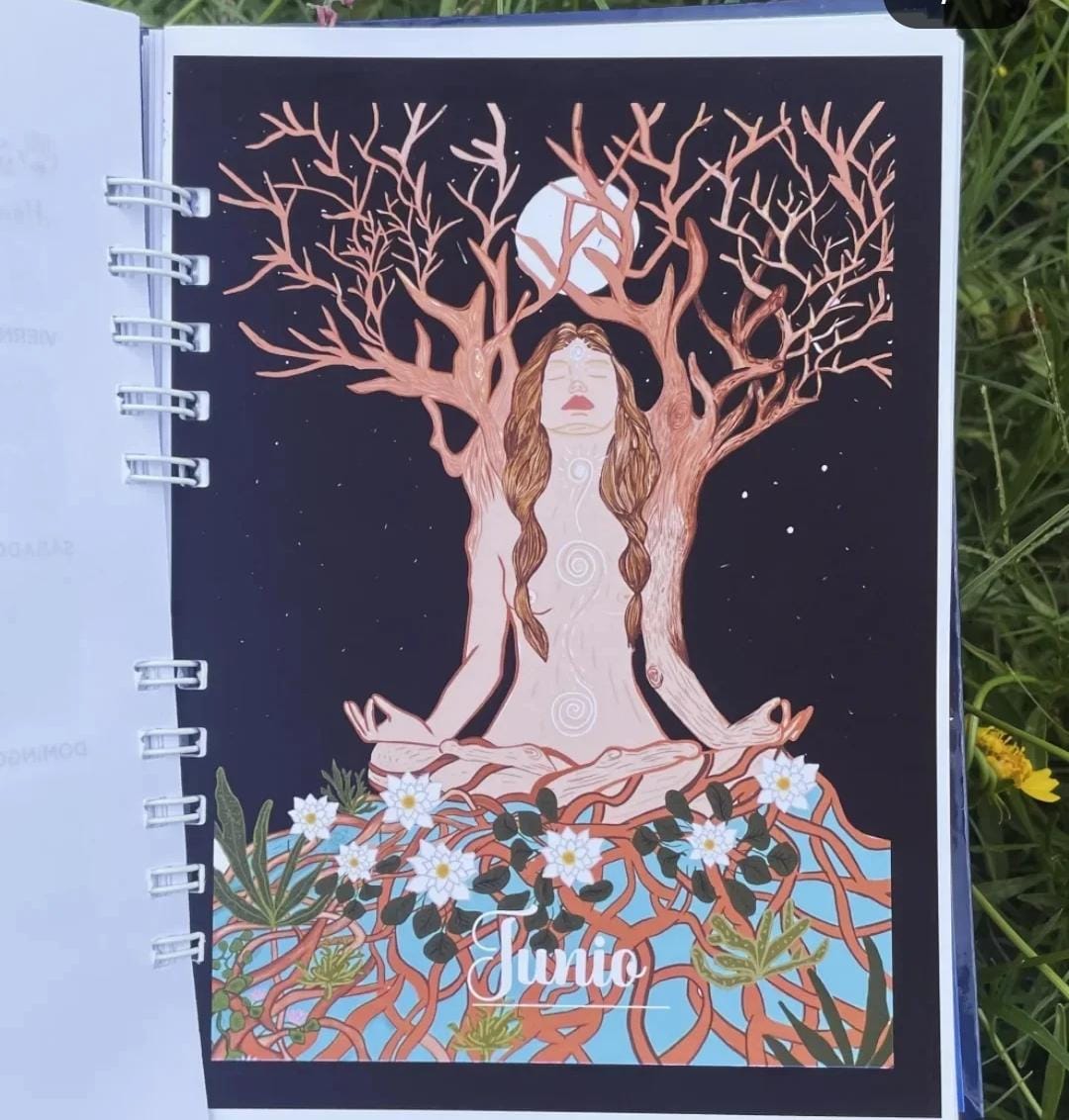 Agenda Ilustrada Pulso Espiral 2026