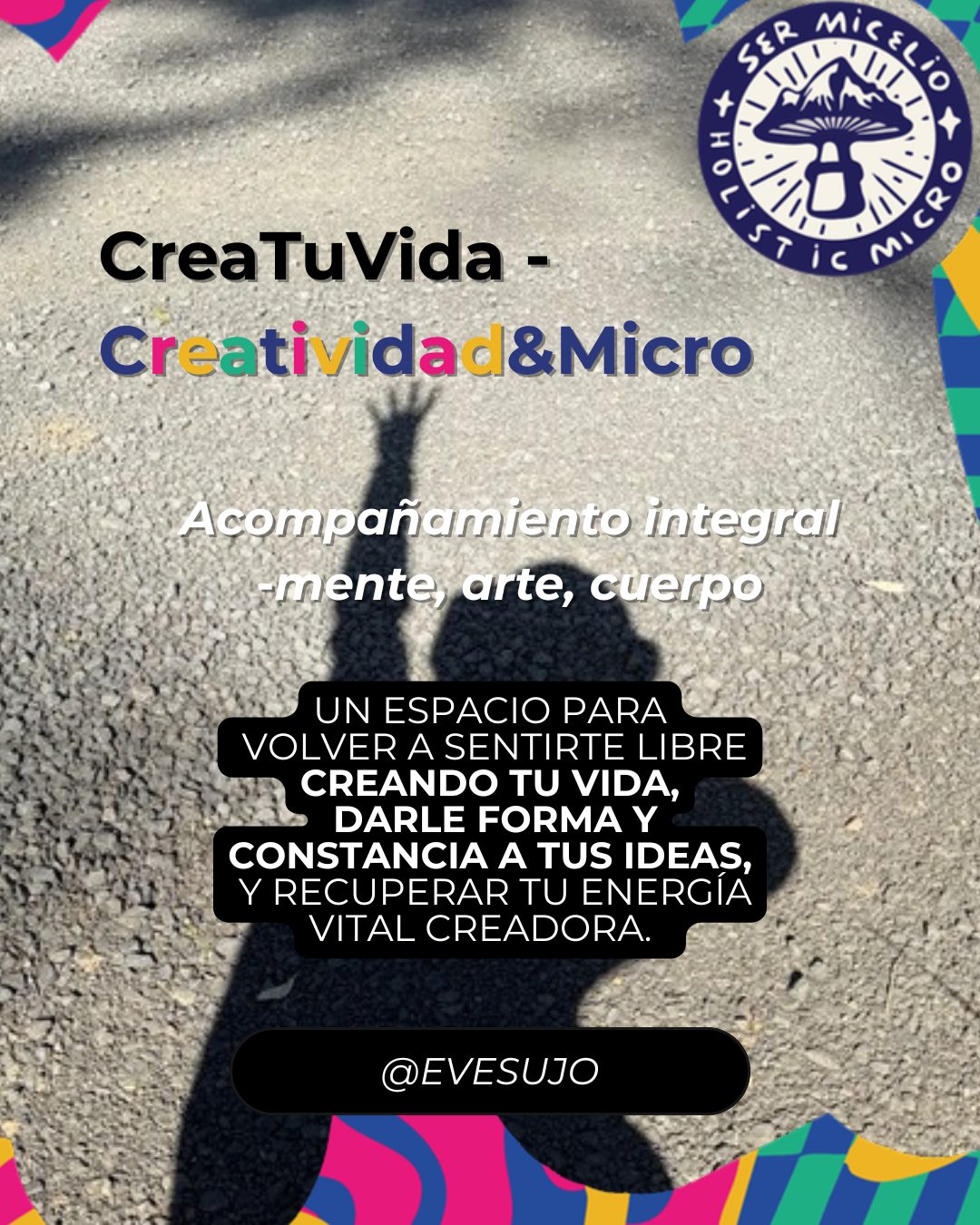 HolisticMicro - Acompañamiento integral en el proceso