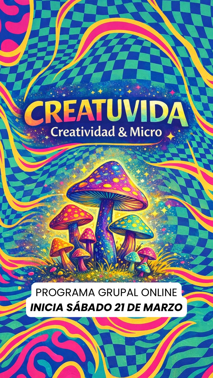 HolisticMicro - Acompañamiento integral en el proceso