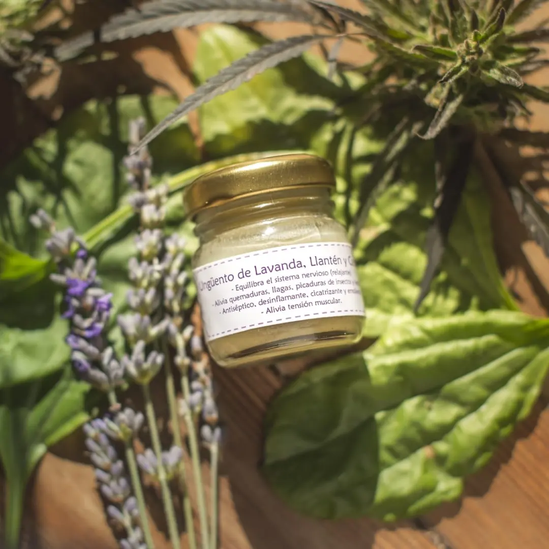 Ungüento de Lavanda, Llantén y Cannabis